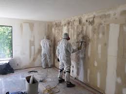 Best Residential Mold Inspection & Testing  in Jamesburg, NJ